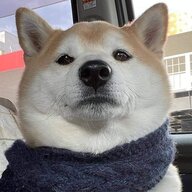 babayga