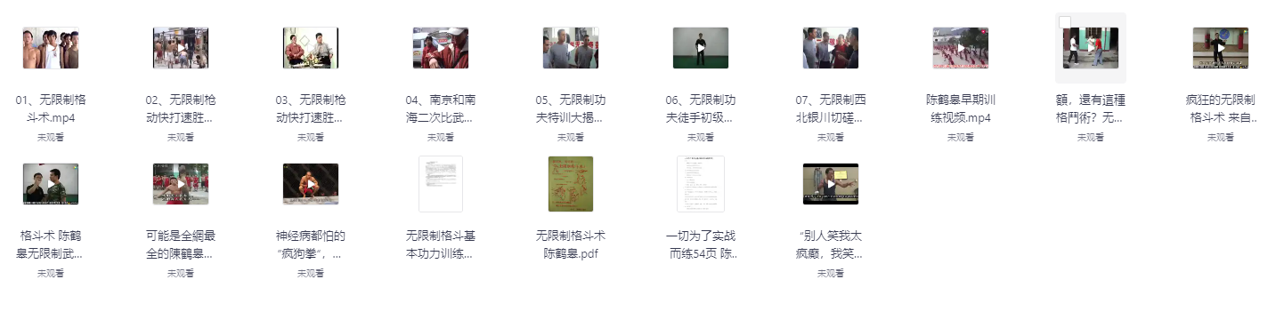陈鹤皋“无限制格斗”实战训练视频